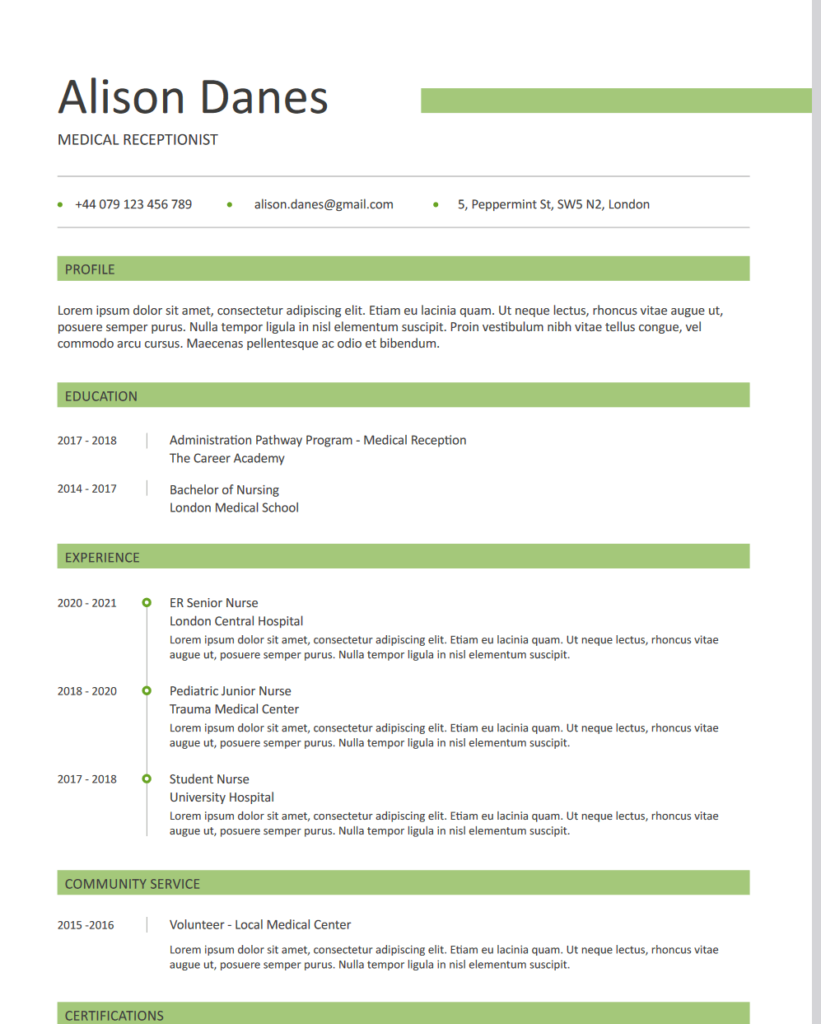 Standout ATS-Friendly CV Example 3